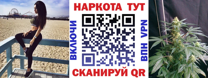 Как найти закладки Невель Галлюциногенные грибы Меф ГАШ